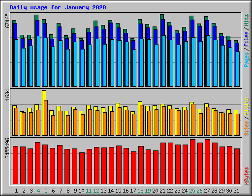 Daily usage for January 2020