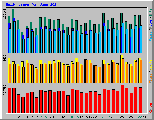 Daily usage for June 2024