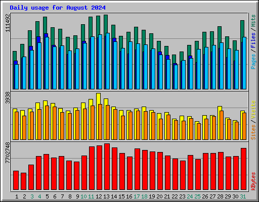 Daily usage for August 2024