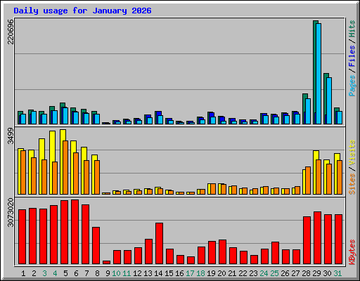 Daily usage for January 2026