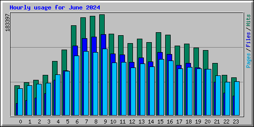 Hourly usage for June 2024