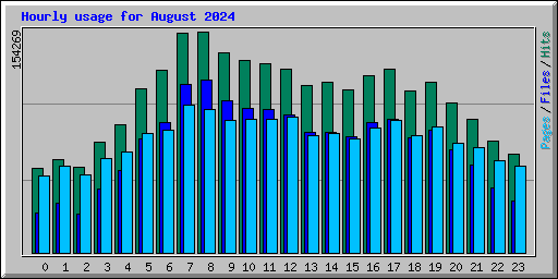 Hourly usage for August 2024