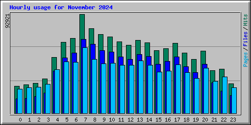 Hourly usage for November 2024