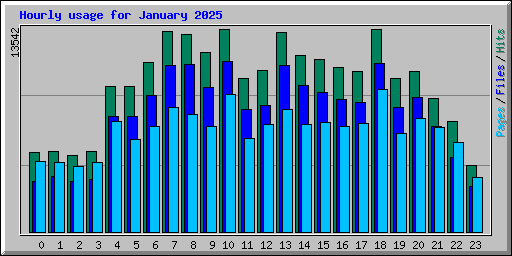 Hourly usage for January 2025