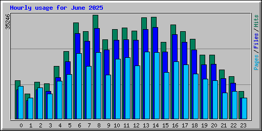 Hourly usage for June 2025