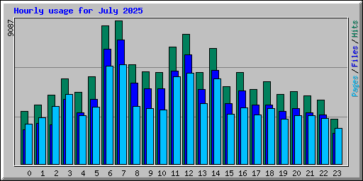 Hourly usage for July 2025
