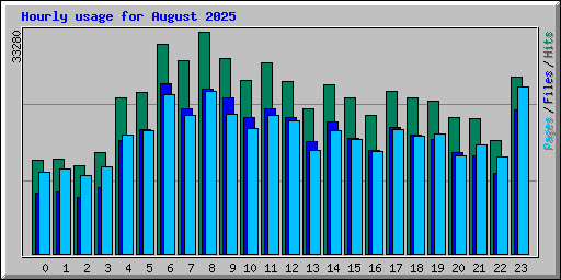 Hourly usage for August 2025