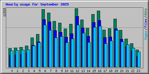 Hourly usage for September 2025