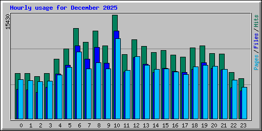 Hourly usage for December 2025