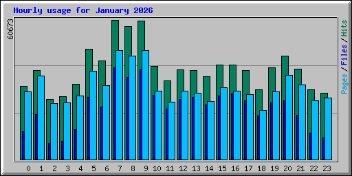 Hourly usage for January 2026