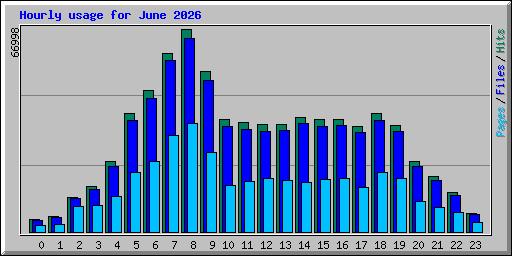 Hourly usage for June 2026