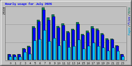 Hourly usage for July 2026