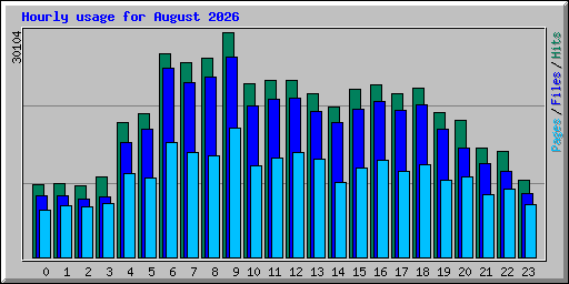Hourly usage for August 2026