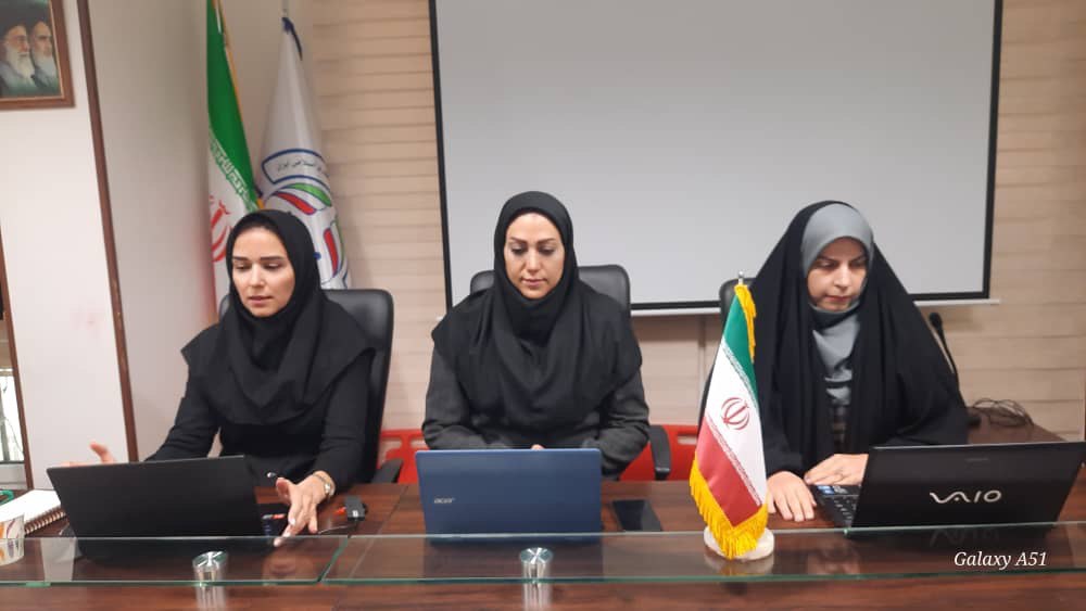 برگزاری وبینار کمیته آموزش فدراسیون نجات غریق غواصی با کمیته آموزش هیات های استانی