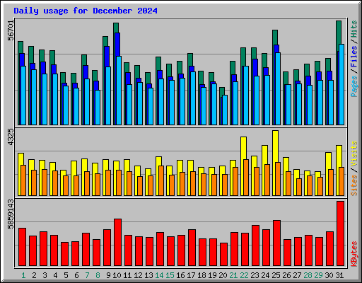 Daily usage for December 2024