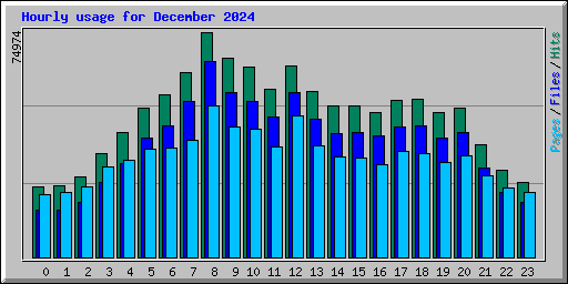 Hourly usage for December 2024